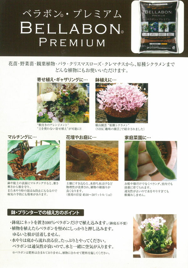 �٥�ܥ󡦥ץ�ߥ���5��åȥ�����