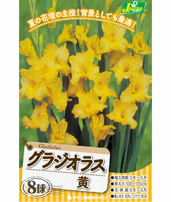 �庬/���饸���饹ñ���餭����8������