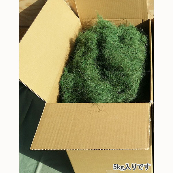 [����̵��]���顼�䥷���ݡ��п�5kg����