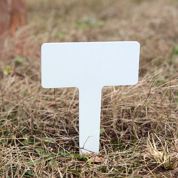 �ե���٥뾮 (5.5��12)��19cm 5�祻�å�