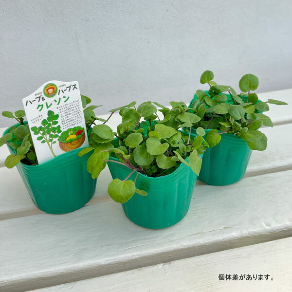 ��ڤ���/���쥽���3��ݥå���2�����å�