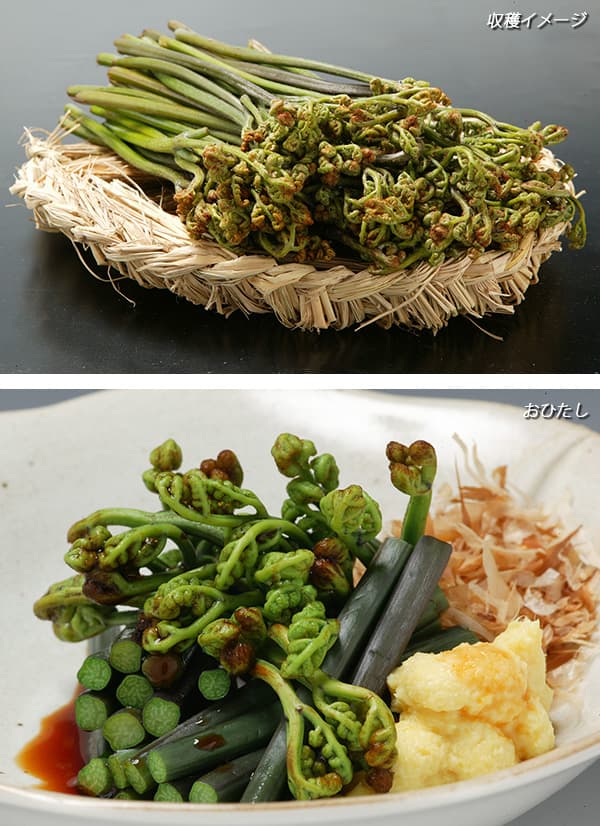 ��ڤ���/����3��ݥå�