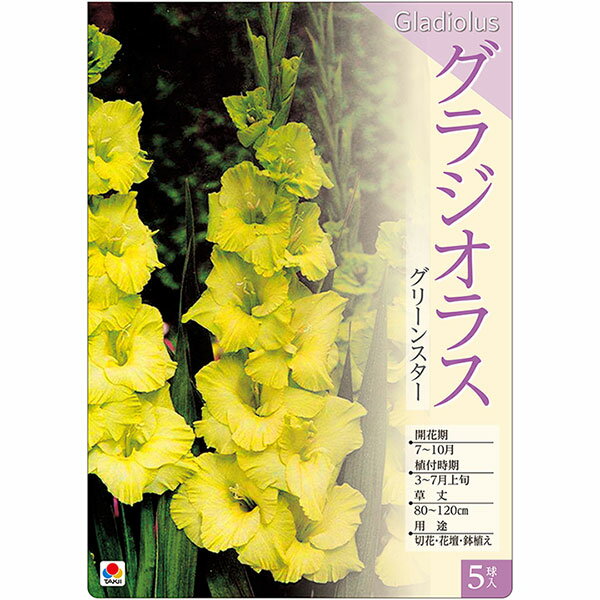 �庬/���饸���饹�����꡼�󥹥���5������