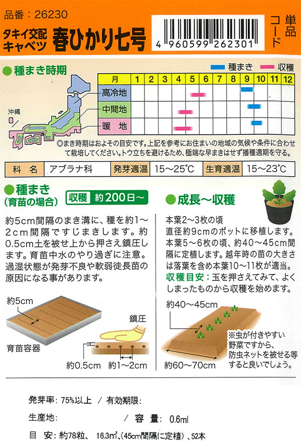 【有効期限20年02月】キャベツ：春ひかり七号[春一番に収穫！育てやすい春キャベツ　野菜タネ]