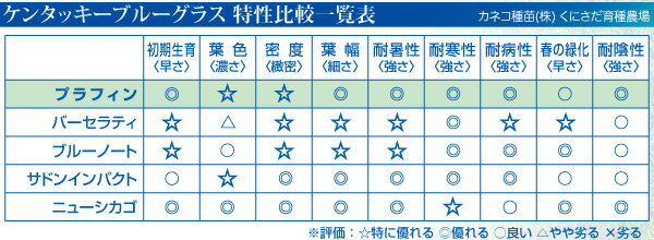 �Ǥμ���󥿥å����֥롼���饹 �ץ�ե�����22.5kg����