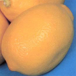 �̼�����/���󡧥桼�쥫����4��5��ݥå�