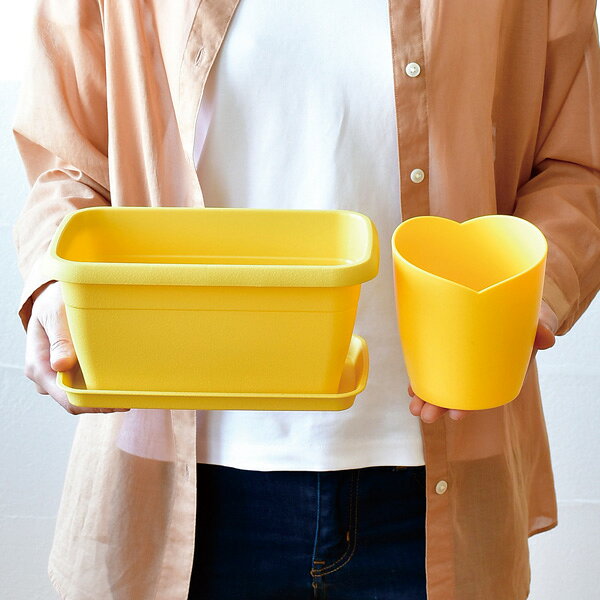 エンジョイプランター フラワー：ミニヒマワリ