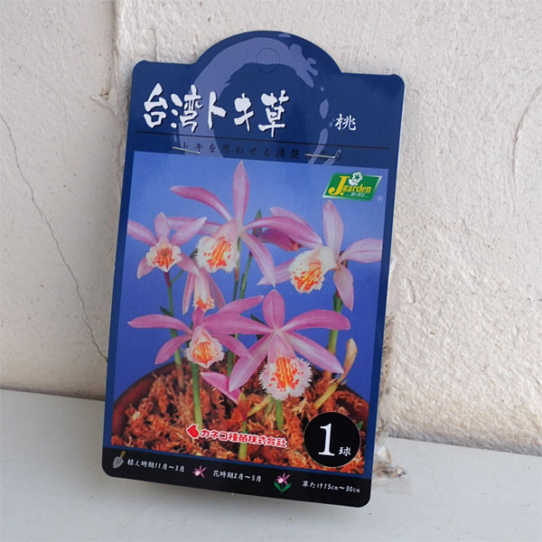 �庬/���ѤȤ�������1������