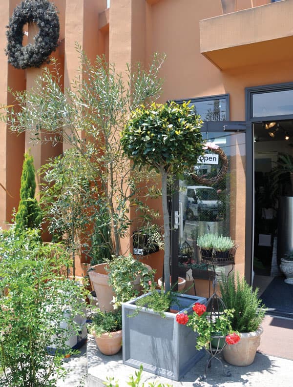 LLブリティッシュPプランター 60cm