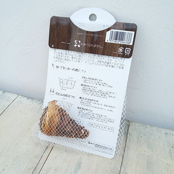 球根/ユーコミス（パイナップルリリー）：トュゲラジュエル 1球入り