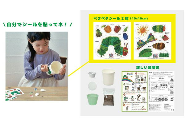 ヒマワリ：はらぺこあおむし ペタペタ＆すくすく栽培セット（ミニヒマワリ）