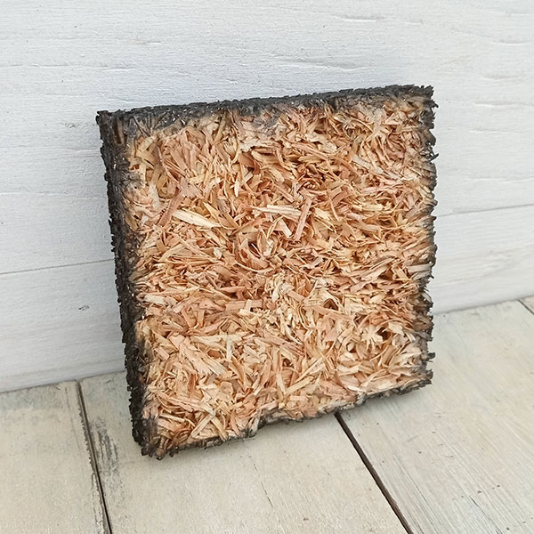 �ե��������ܡ���100��10��10cm��