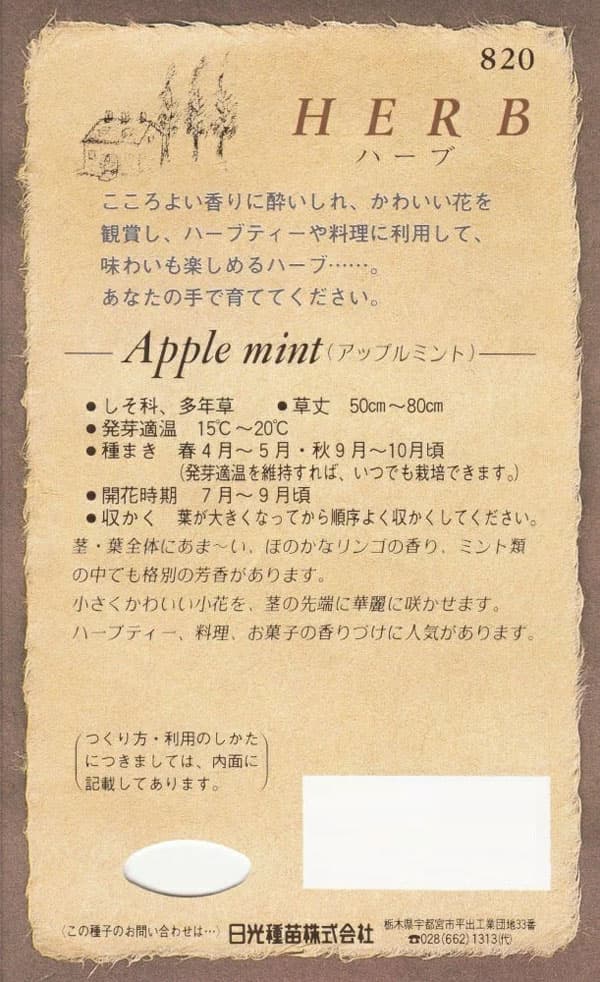 ミント：アップルミントの種[ハーブのタネ] 2