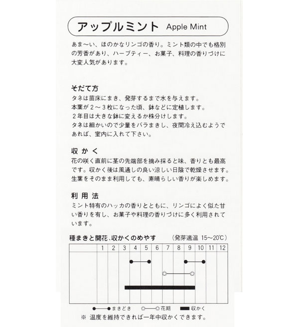 ミント：アップルミントの種[ハーブのタネ] 3