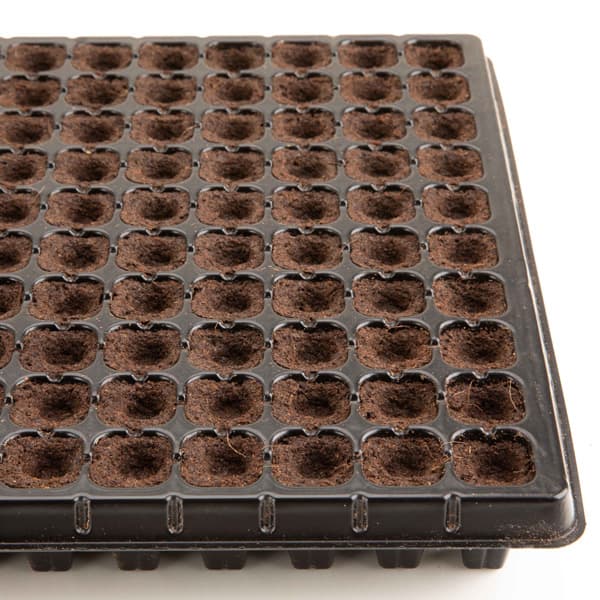 �ץ饰���ڡ������ԡ�200���ż��H160������10�祻�å�