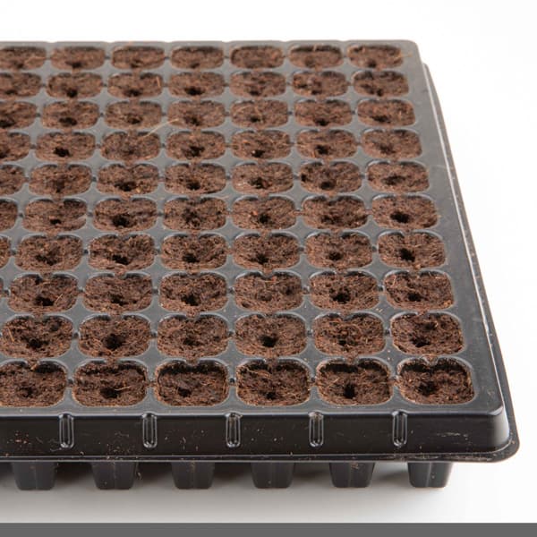 �ץ饰���ڡ������ԡ�200�ꤵ����H160������10�祻�å�