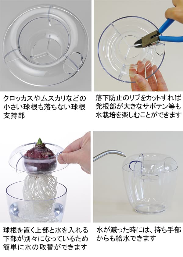 ������ѥݥåȡ�VASE�١��� ���֥륯�ꥢ�ʵ庬2���ѡ�1��