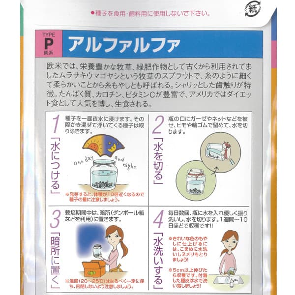 モヤシの種（スプラウト栽培用）：アルファルファ[タネ 通年まき]*