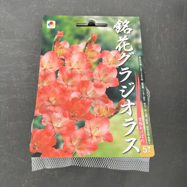 �庬/���饸���饹����Φ�����ܤ� 5������