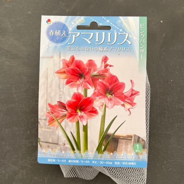 �庬/�ʤ櫓�����ò��˥��ޥ�ꥹ���ԥ󥯥ѥ󥵡� 1������