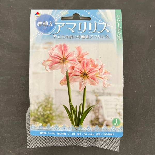 �庬/�ʤ櫓�����ò��˥��ޥ�ꥹ����С����� 1������