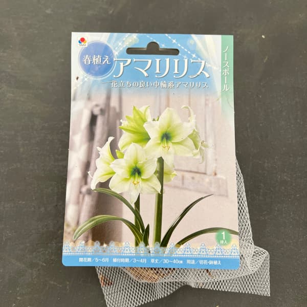 �庬/�ʤ櫓�����ò��˥��ޥ�ꥹ���Ρ����ݡ��� 1������