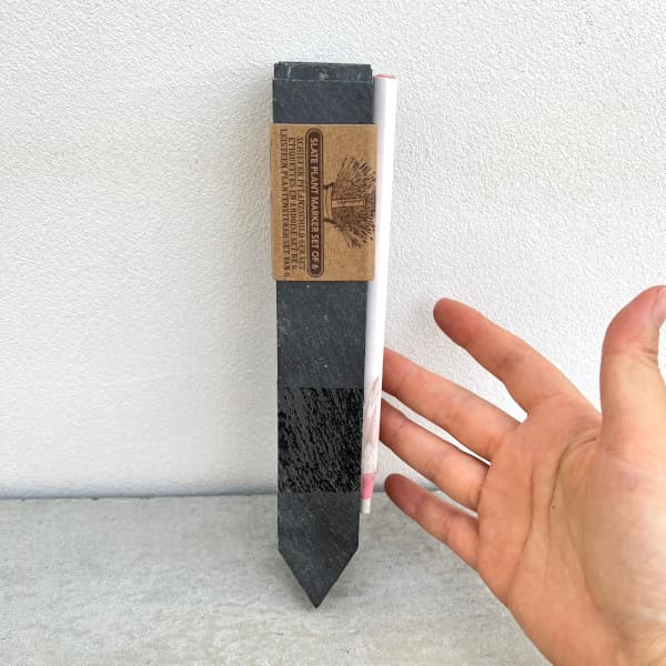 ���å��㡼�ǥ����󡧥ץ��ĥޡ�����6�����ꡦ�ڥ󥷥��դ�GT131