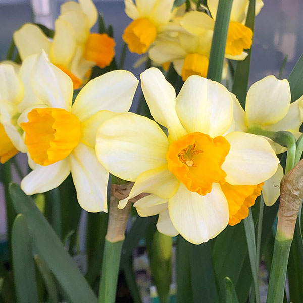 ���硧���ץ�󥰥��󥷥㥤��1�忢��3��ݥå�