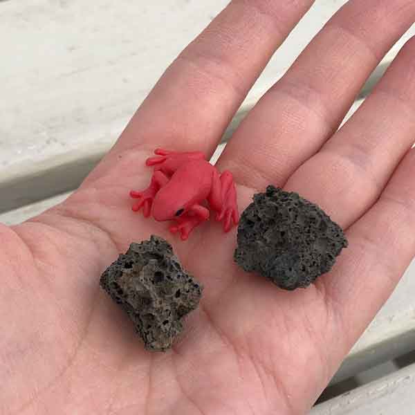 ���˥ޥ�ߥ˥��奢����ɥ���������֡�1�Ĥ��ϴ�2���դ�