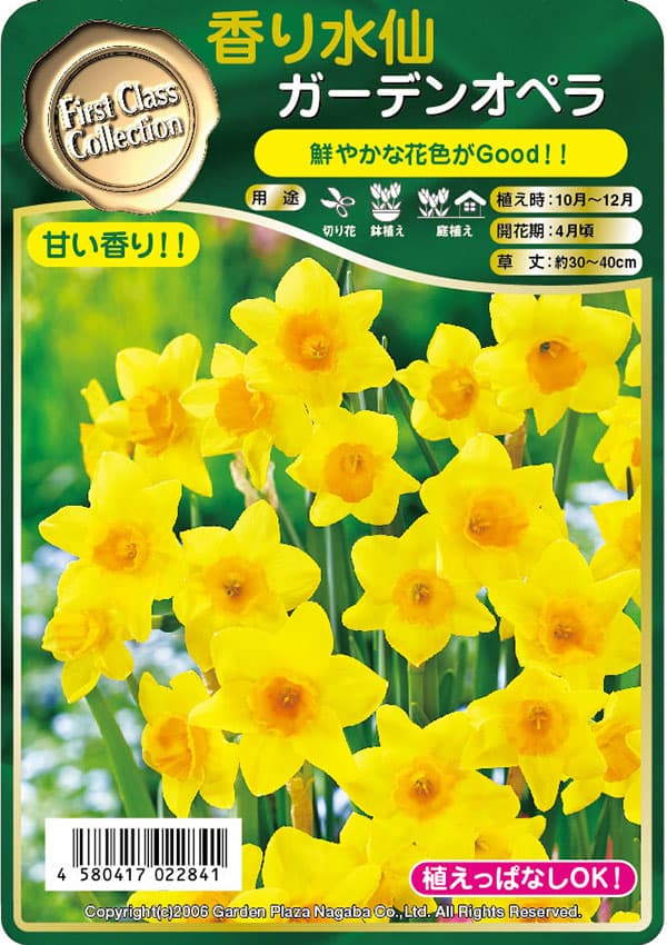 ��������ʿ���ˡ������ǥ󥪥ڥ�1�忢��3��ݥå�