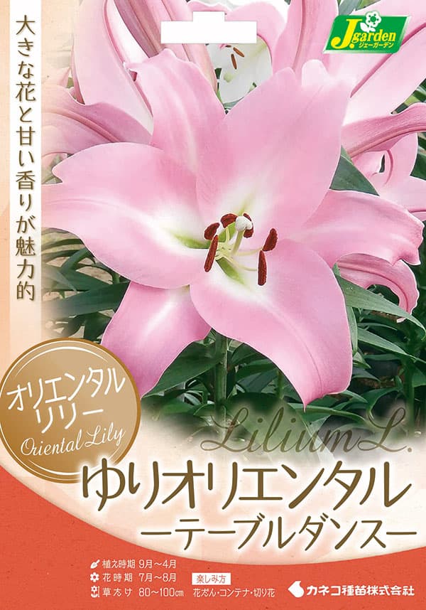 �庬/��ꡧ���ꥨ�󥿥��꡼ �ơ��֥����1��