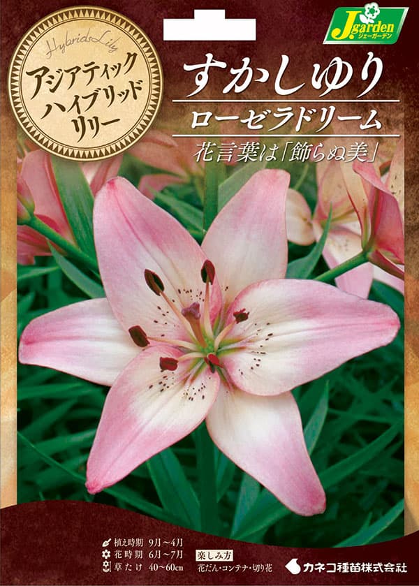 �庬/���ʤ�����ɴ��ˡ���������ɥ꡼��2������