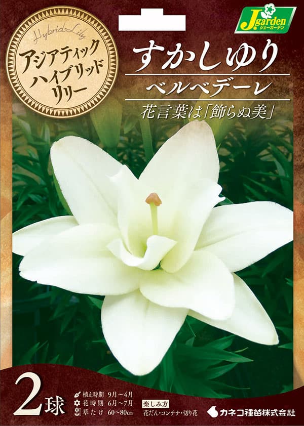 �庬/����Ȭ�ź餹����ɴ��ˡ��٥�٥ǡ���2������