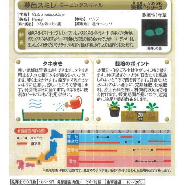 パンジー：夢色スミレ「モーニングスマイル」 2個セット[花タネ　春・秋まき]