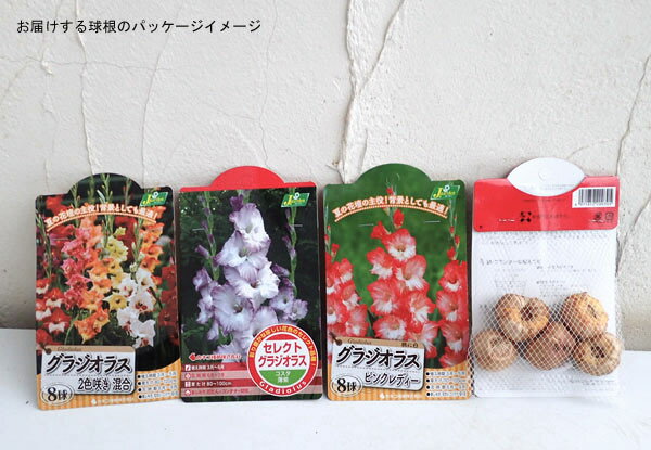 �庬/���饸���饹ñ���餭����8������