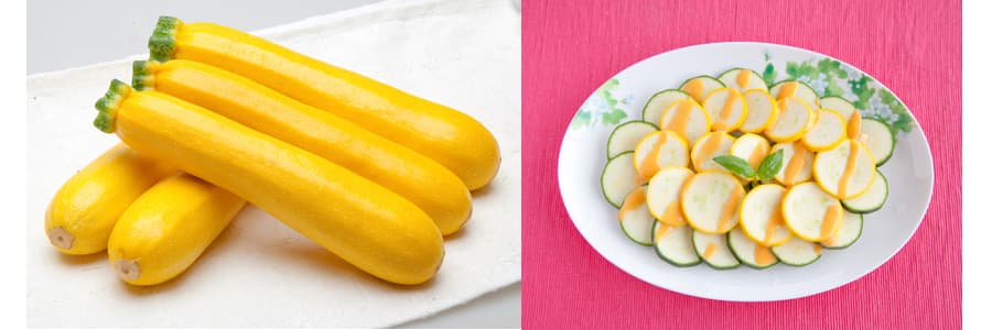 [送料無料](業務用・受注生産品)ズッキーニ：イエローボート 100粒[野菜タネ]* 3