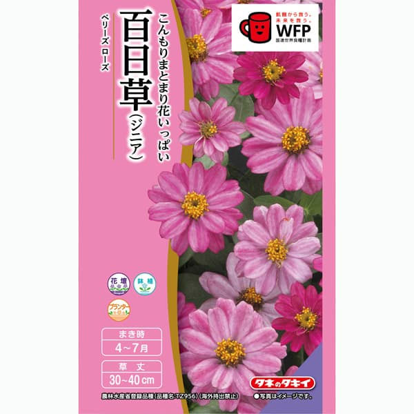 ɴ����ʥ��˥��ˡ��٥꡼�� �������ʰ�š�[������ �֥���]