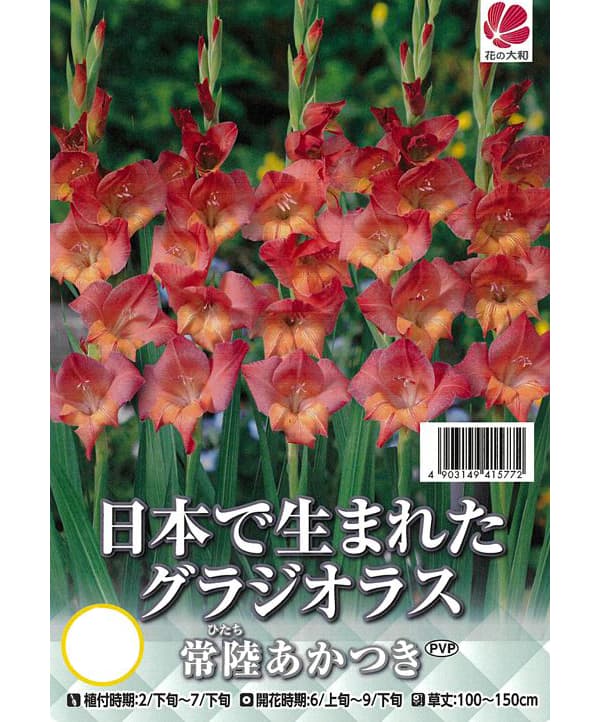 �庬/���饸���饹����Φ�����Ĥ��ʤҤ��������Ĥ���5������