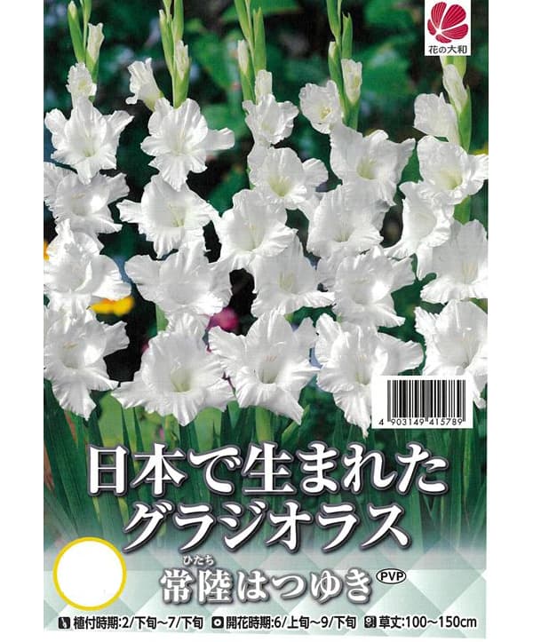 �庬/���饸���饹����Φ�ϤĤ椭�ʤҤ����ϤĤ椭��5������