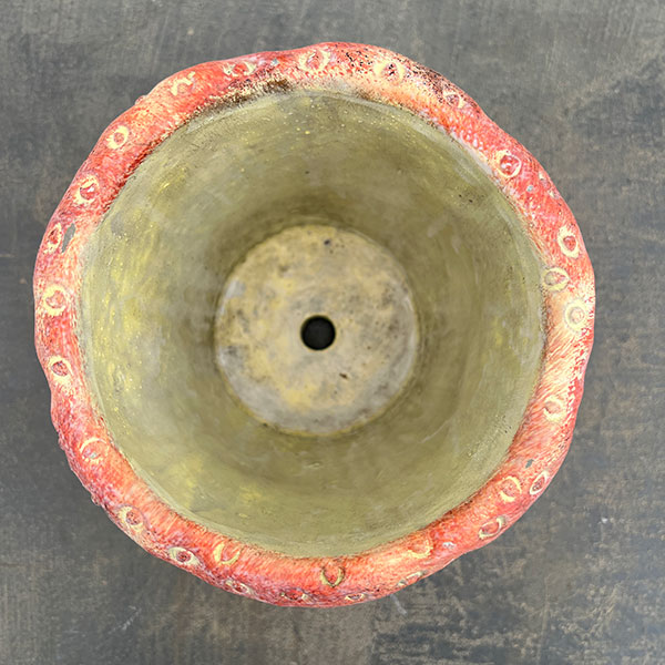 ����󥿥� �ե롼�ĥե졼��A����16cm��LC028��