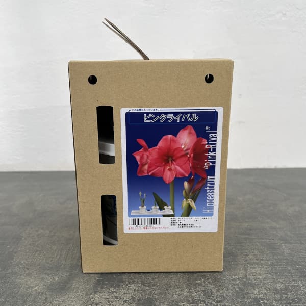 �庬/�ʤ櫓�����ò��˥ݥåȥ��ޥ�ꥹ �ԥ󥯥饤�Х��ǻ�ԥ󥯡�ȭ����