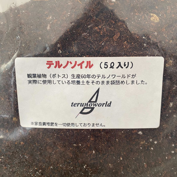 �ƥ�Υ����롡5��åȥ�