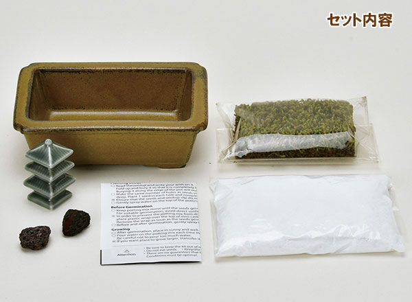苔庭園手作りキット：禅庭（ZEN GARDEN）三重塔