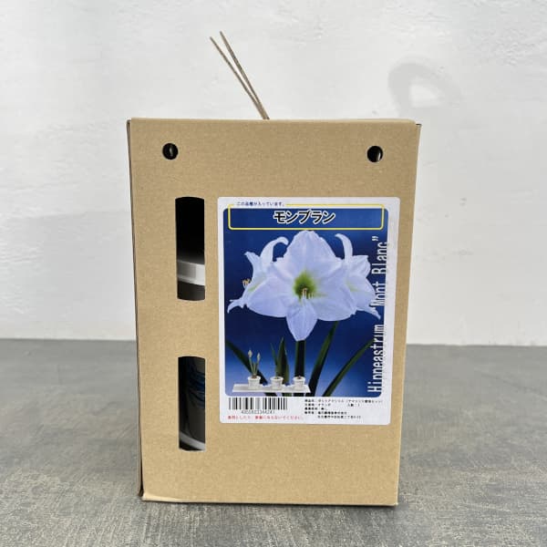 �庬/�ʤ櫓�����ò��˥ݥåȥ��ޥ�ꥹ ���֥������ȭ����