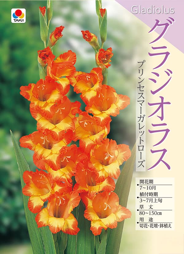 �庬/���饸���饹���ץ�󥻥��ޡ�����åȥ����� 5������