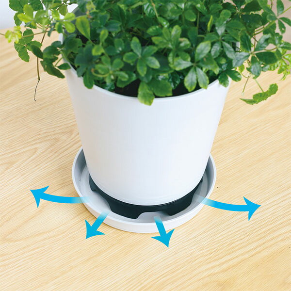 �֤��������̵����ӿ�Ǥ���ݥåȥ������ S