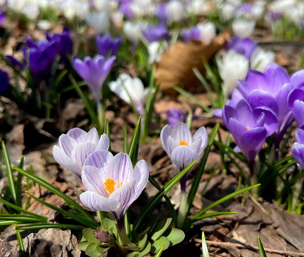 �����å������ֿ���������3�� 3�ݥåȥ��å�