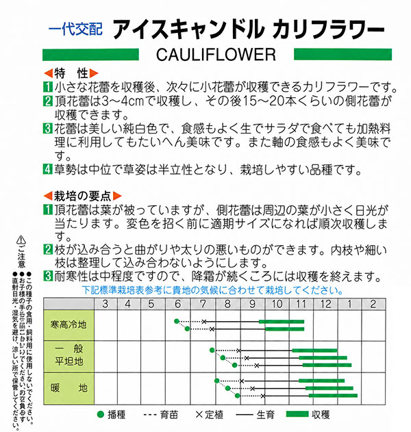 カリフラワー（ブロッコリー）：一代交配 アイスキャンドル[ミニタイプ 7-8月まき 野菜タネ] engei2-10329640 園芸ネット プラス サンプル画像2