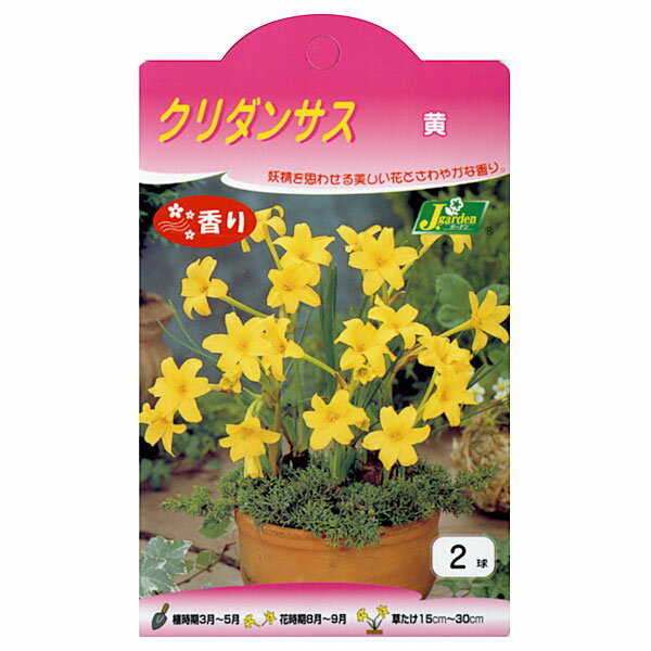 �庬/������󥵥��ʲ���2������