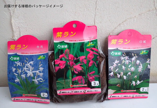 �庬/�����ʻ����3������